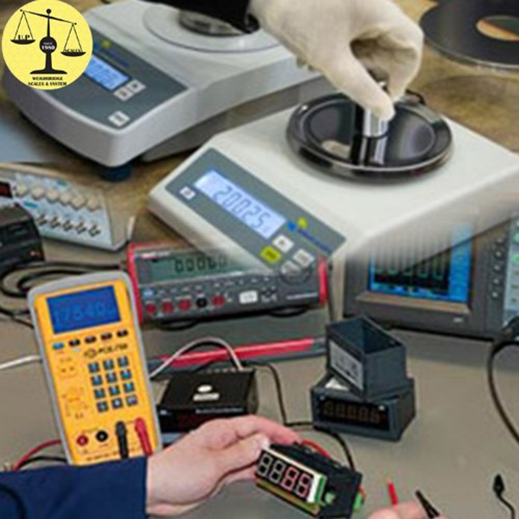 weighing scale repairing service